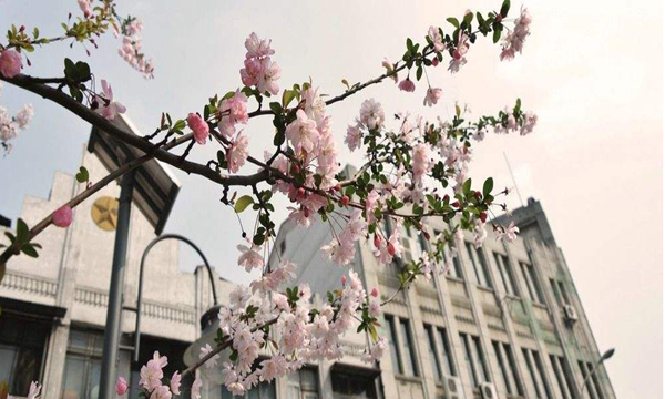 云南省成人高考學習形式你知道嗎？