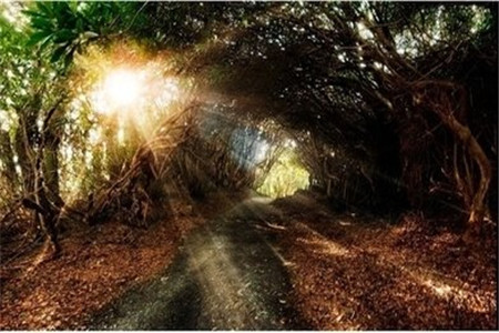 云南成人高考錄取報(bào)到需要攜帶哪些證件?