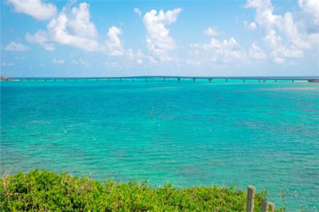 【專升本考生】2020年云南成人高考報名現場確認材料要帶什么？