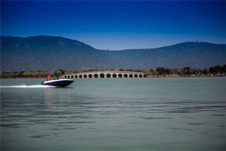 【西南林業學院】成人高考為什么無法申報學士學位？