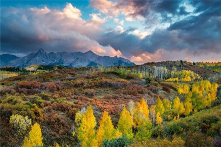 「西南林業(yè)學(xué)院」成人高考報(bào)名時(shí)有哪些注意事項(xiàng)？