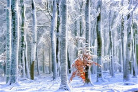 該什么時候開始準(zhǔn)備云南成人高考報名？現(xiàn)在準(zhǔn)備會不會為時過早？