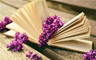 云南函授大專可以讀本科和研究生嗎？