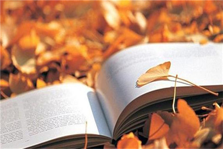 小白問：云南財經大學成人高考王牌專業是哪個？難嗎？