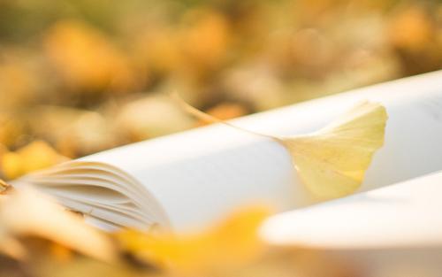 云南成人高考報名網址