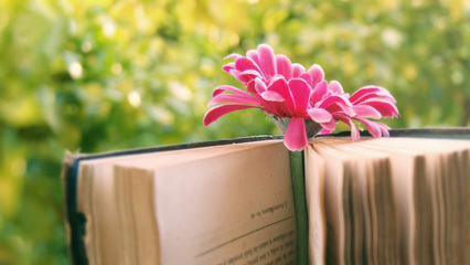 云南成人高考報名