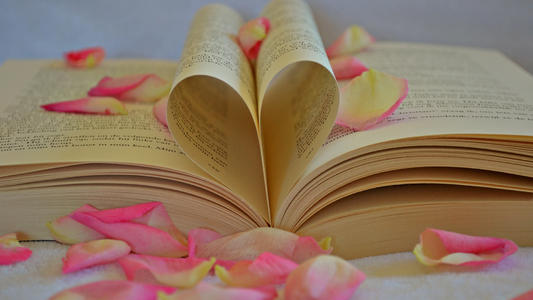 云南成人高考網(wǎng)上報(bào)名