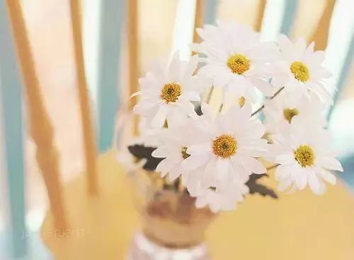 云南成人高考報名