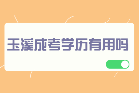 玉溪成考學歷有用嗎?