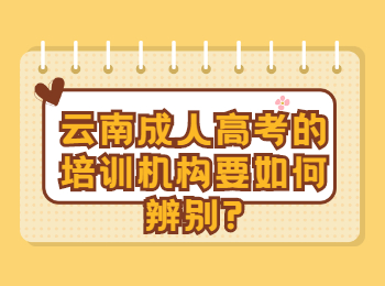 云南省成人高考 辨別云南成考的培訓機構