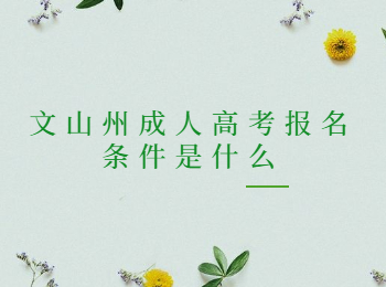 文山州成人高考報名條件