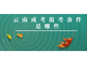 云南成考報考條件