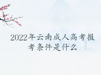 2022年云南成人高考報考條件