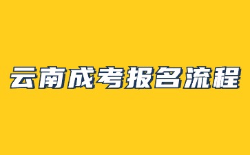 2024年云南成人高考報名流程步驟解析？