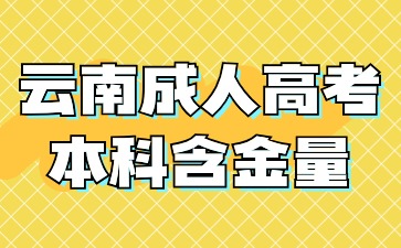 2024年云南成人高考本科學歷畢業含金量怎么樣？